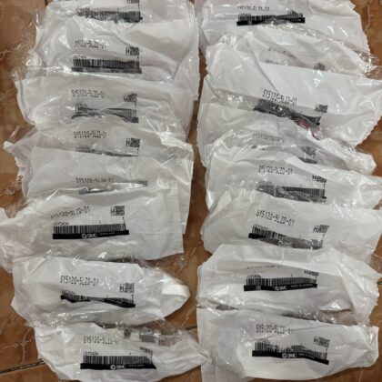 Van điện từ SMC SY5120-5LZD-01