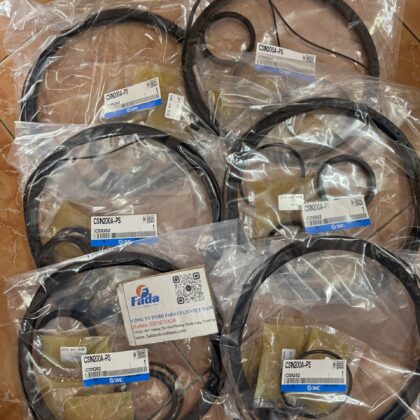 CS1N200A-PS Bộ Gioăng Phớt SMC CS1N200A-PS